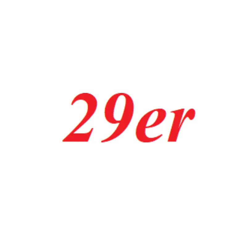29er logo